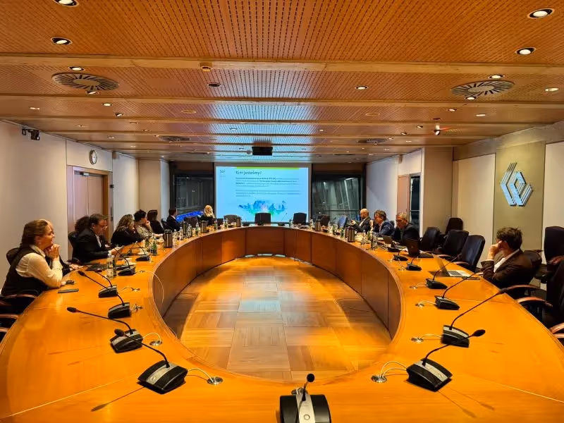 Meeting of the members of the POLSIF Programme Council